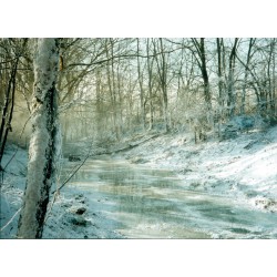 Snowcell full-size Chemical free