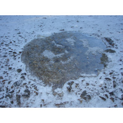 SB glace Ice Wax Clear, le...