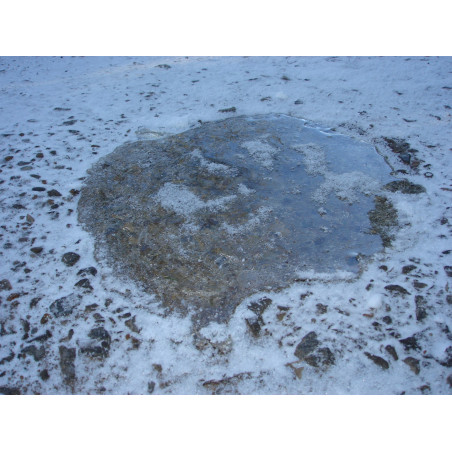 SB glace Ice Wax Clear, le carton de 25kg